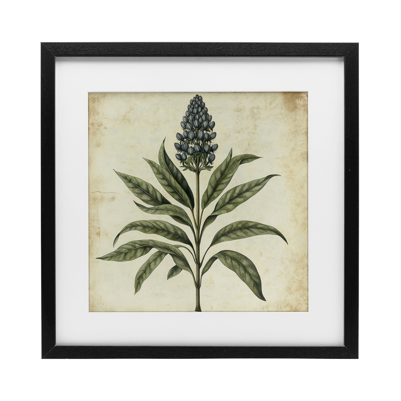 Stupell Industries Vintage Blue Botanical Illustration Framed Print Under Glass, design by Petal Prints Design